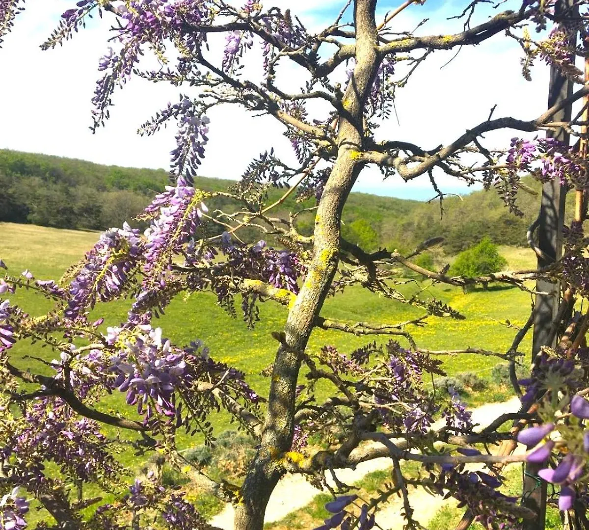Holiday home Maison 8 A 10P, Piscine, Parc, Campagne Sans Voisin En Drome Provencale Felines-sur-Rimandoule